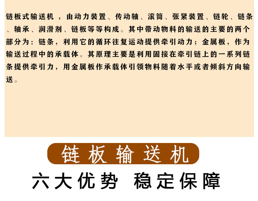 鏈板輸送機給料機 (8)